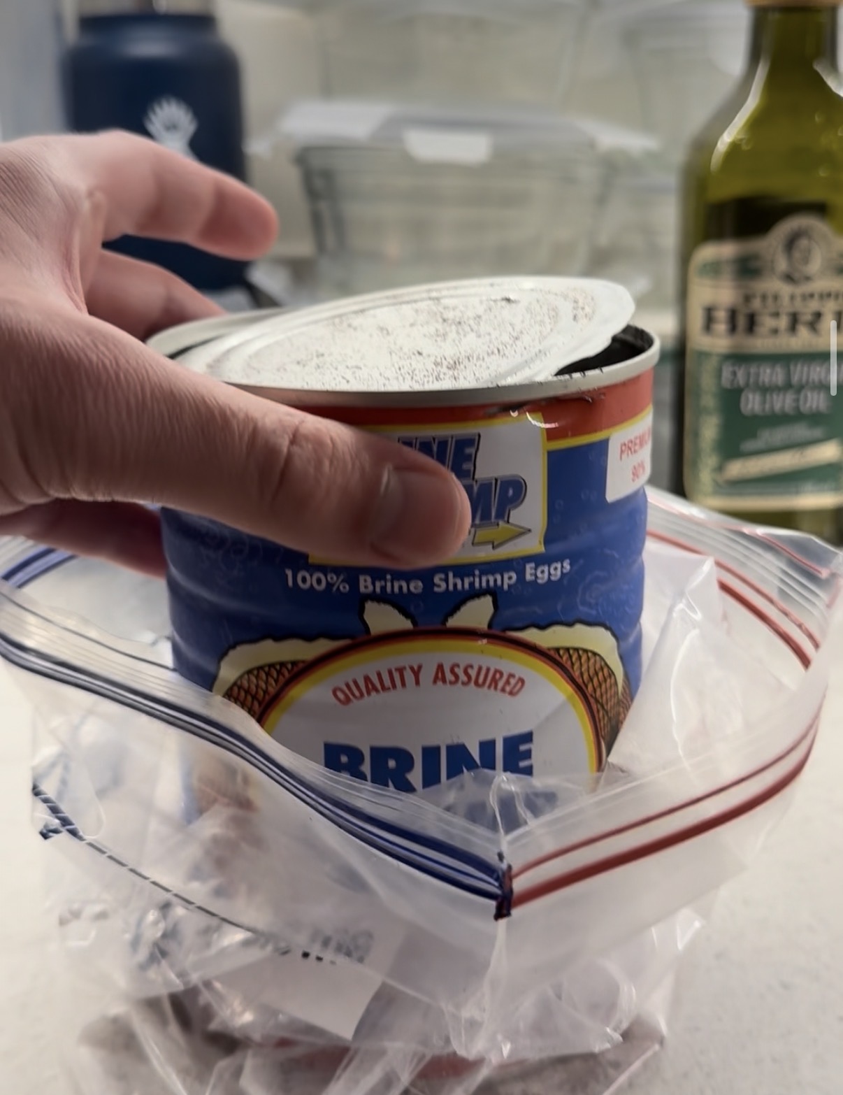Brine shrimp egg tin and storage bag