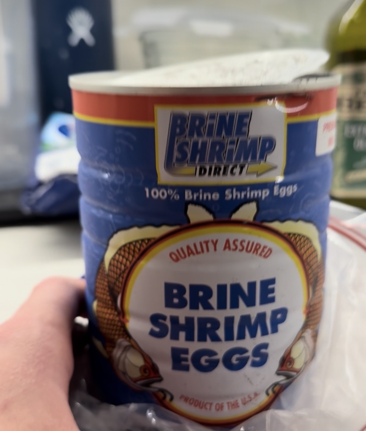 Premium brine shrimp eggs